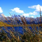 luiza braun pfm6iwmas7w unsplash