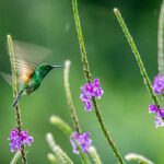 mana5280 81kz1pgbh w unsplash