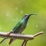 mana5280 u ge8updrty unsplash