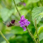 mana5280 zchpweat5 8 unsplash