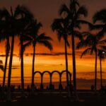 manuel marin ig1clnf0m m unsplash