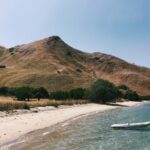 marcella oscar q00flmhnr m unsplash