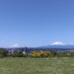 marcelo bassi qdsrbry9bye unsplash