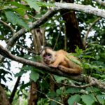 marcus dall col qz5rzh7slwy unsplash