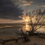 marek okon hxzsyzr8lig unsplash