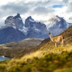 marek piwnicki qo09ndddw7a unsplash