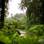 mark addyorqtycg unsplash