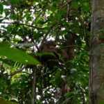 mark kuiper lh2s2swmenm unsplash