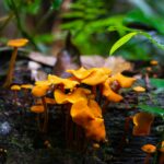 mark kuiper spkp 4acoly unsplash