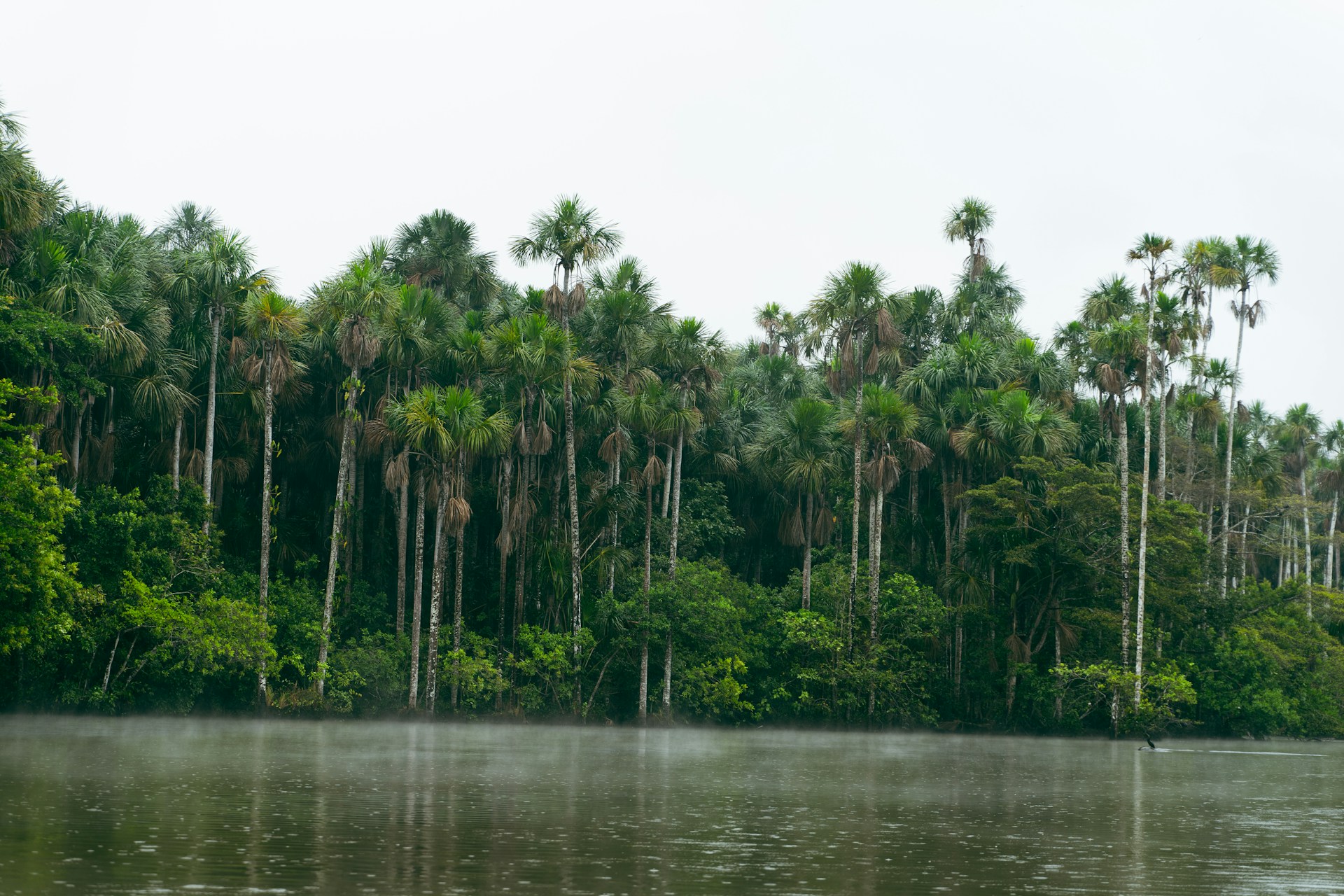 mark kuiper hxs52abvpow unsplash