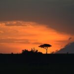 masai mara 7235519 1280