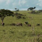 matthew essman tvmuzc5e8to unsplash