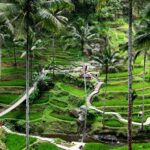 matthew waring 0jdwgp1ntuk unsplash