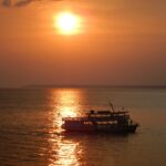 maxwel de souza freitas zxf m6tp oy unsplash