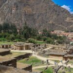 meg von haartman dogwx9xzbf8 unsplash