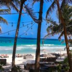 meg von haartman ijfi08pqgpe unsplash