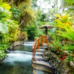 mike-swigunski-1cEHvIY_p5I-unsplash