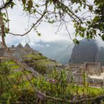 mikhail mokrushin vfyc6ypakyk unsplash