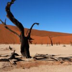 namibia 2046776 1280