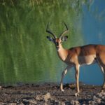 namibia 3996966 1280