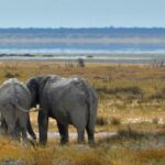 namibia 5183617 1280