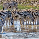 namibia 5239549 1280