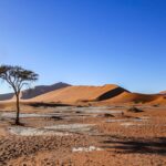 namibia 6785861 1280