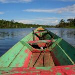 nareeta martin qv5qeo r0fw unsplash