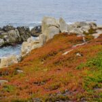 naveen naidu m15eoinselu unsplash