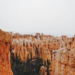 nick herasimenka t 3soodynr4 unsplash