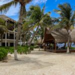 nicole arango lang 2prvou0bhs4 unsplash