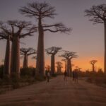 noah grossenbacher v t5tfwhnoa unsplash