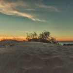 npx photo dddeg7qsk7y unsplash