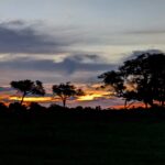 oliver bradley 3b2txltwvzs unsplash