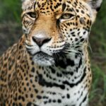 omar-mena-QIktihNFiYY-unsplash