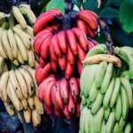 ovidiu-creanga-DKERPEfH9aY-unsplash