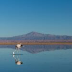 pablo-garcia-saldana-EOxpS6yBQU4-unsplash