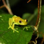 patricio gaibor 7tmufghscwi unsplash