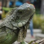 patrick minero dg1cd69wkng unsplash