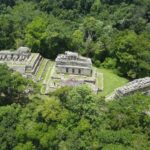 pau de valencia bi9ya6dvlty unsplash