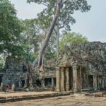 peter borter ncc0lwxqnge unsplash