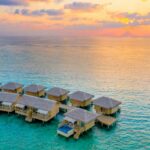 pexels asadphoto 30037392