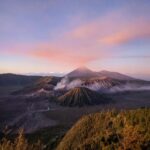 pexels dodyk k 420887746 16836350