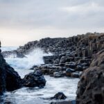 pexels samforson 12103504