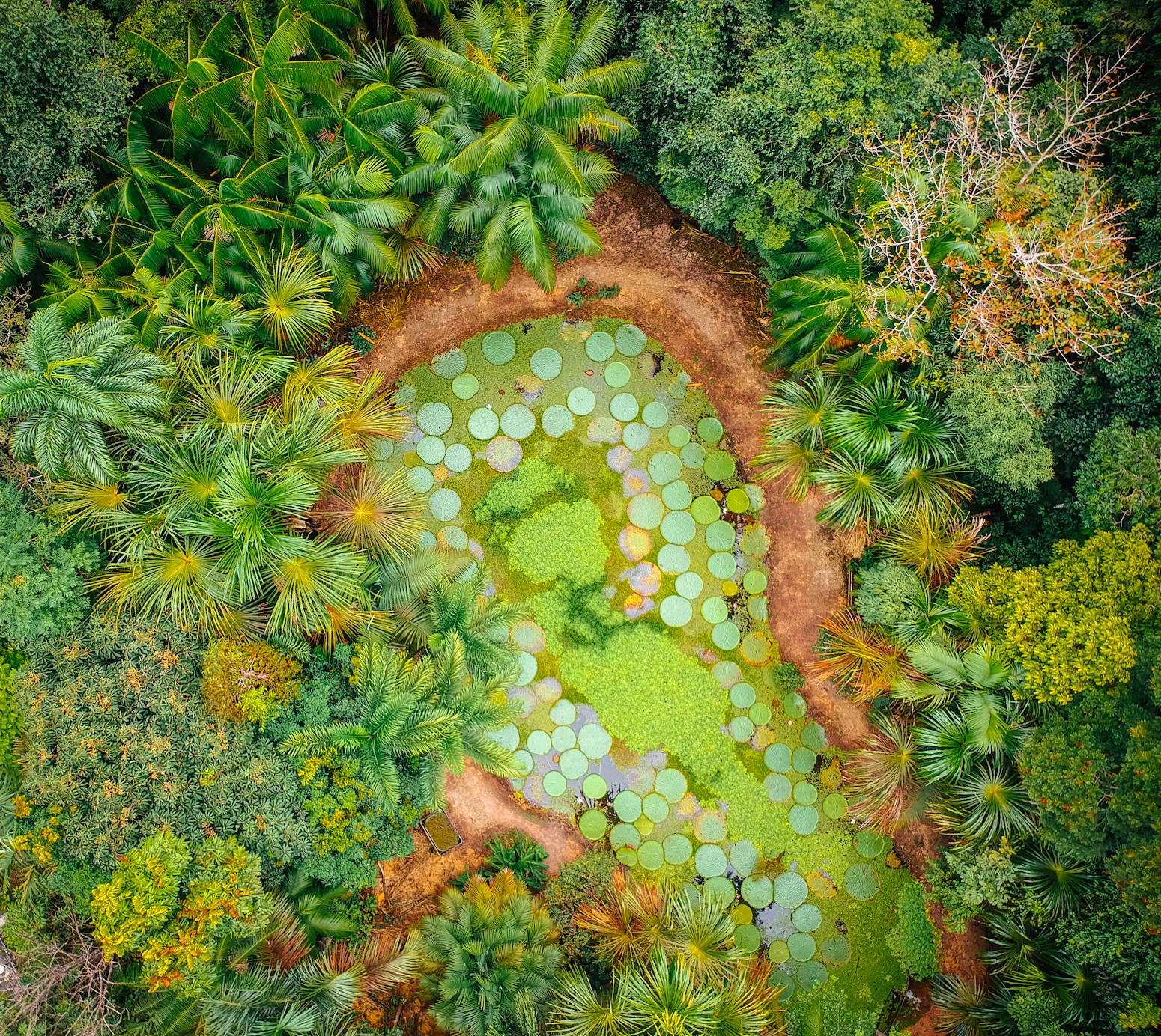 photo 1519662115423 29dd20c20fb2