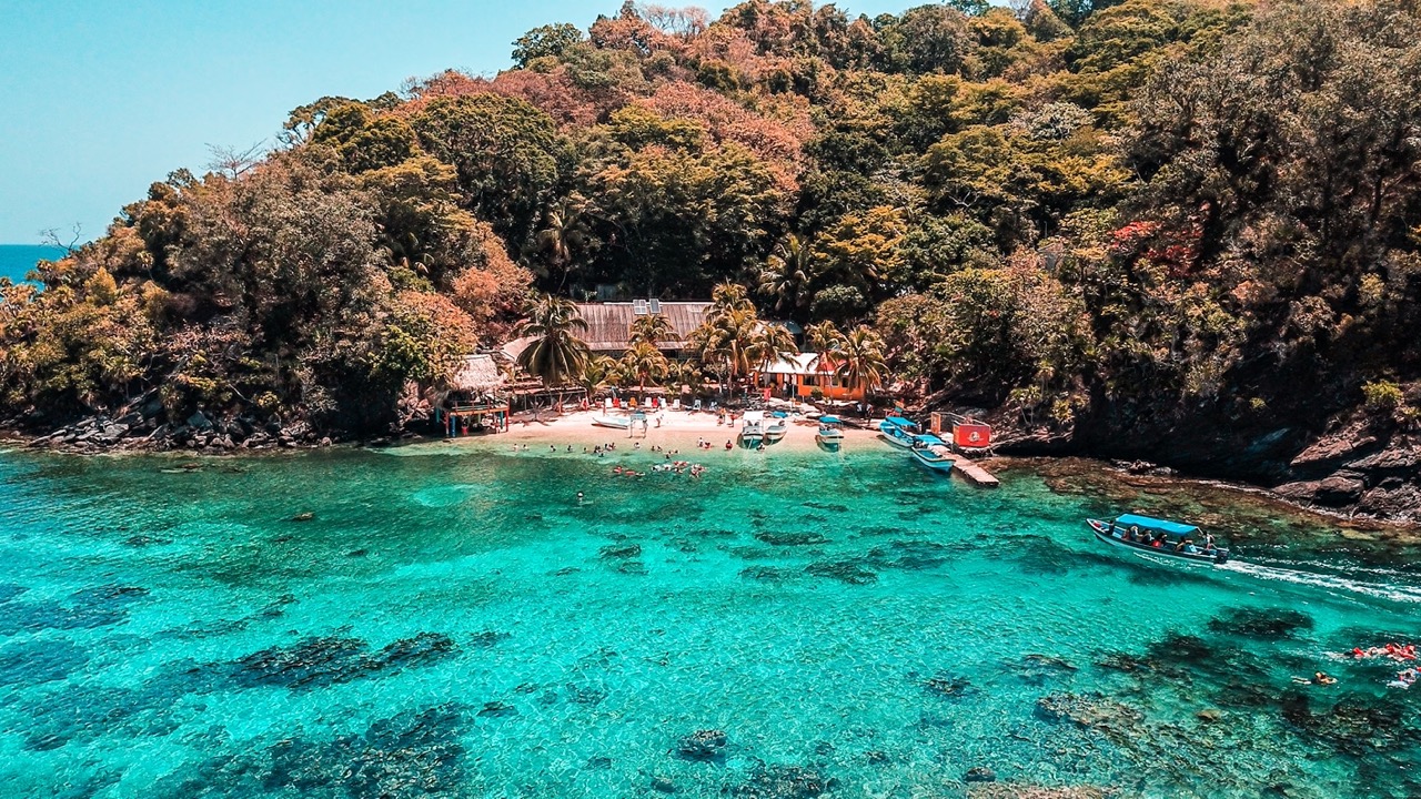 photo 1599807427405 945924b4bf21 en tamaño grande