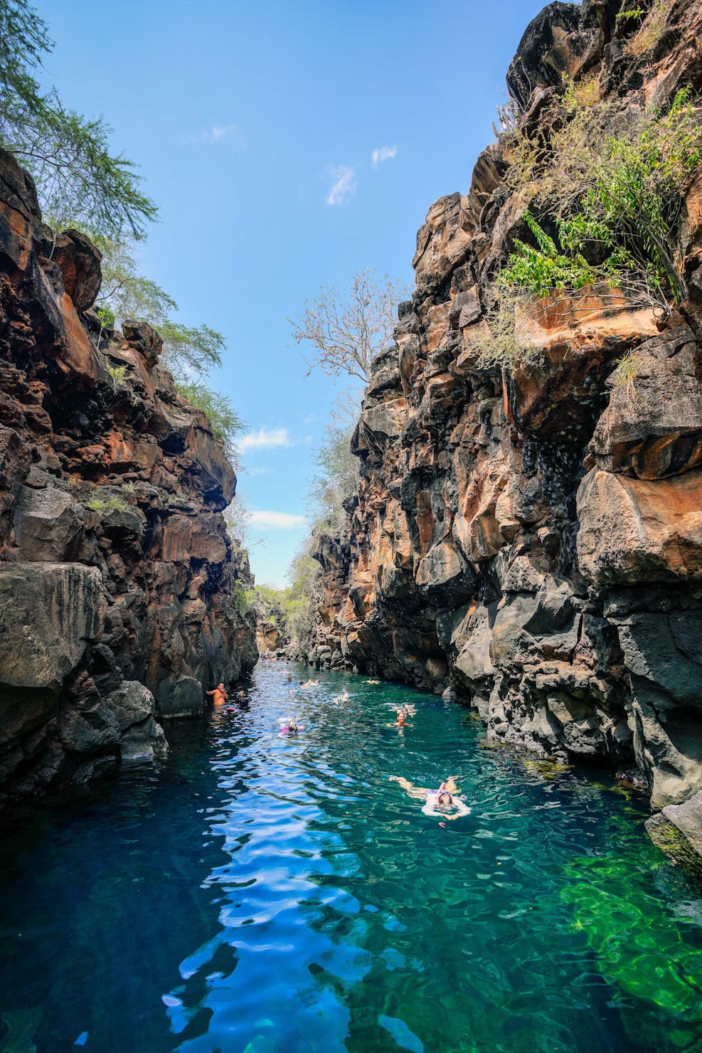 photo 1668805236779 217e48d52fb7