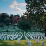 polina m wlb ybi n5m unsplash