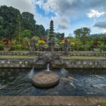 rene riegal mnifbeovrne unsplash