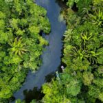 robin canfield mjpsnpnl we unsplash